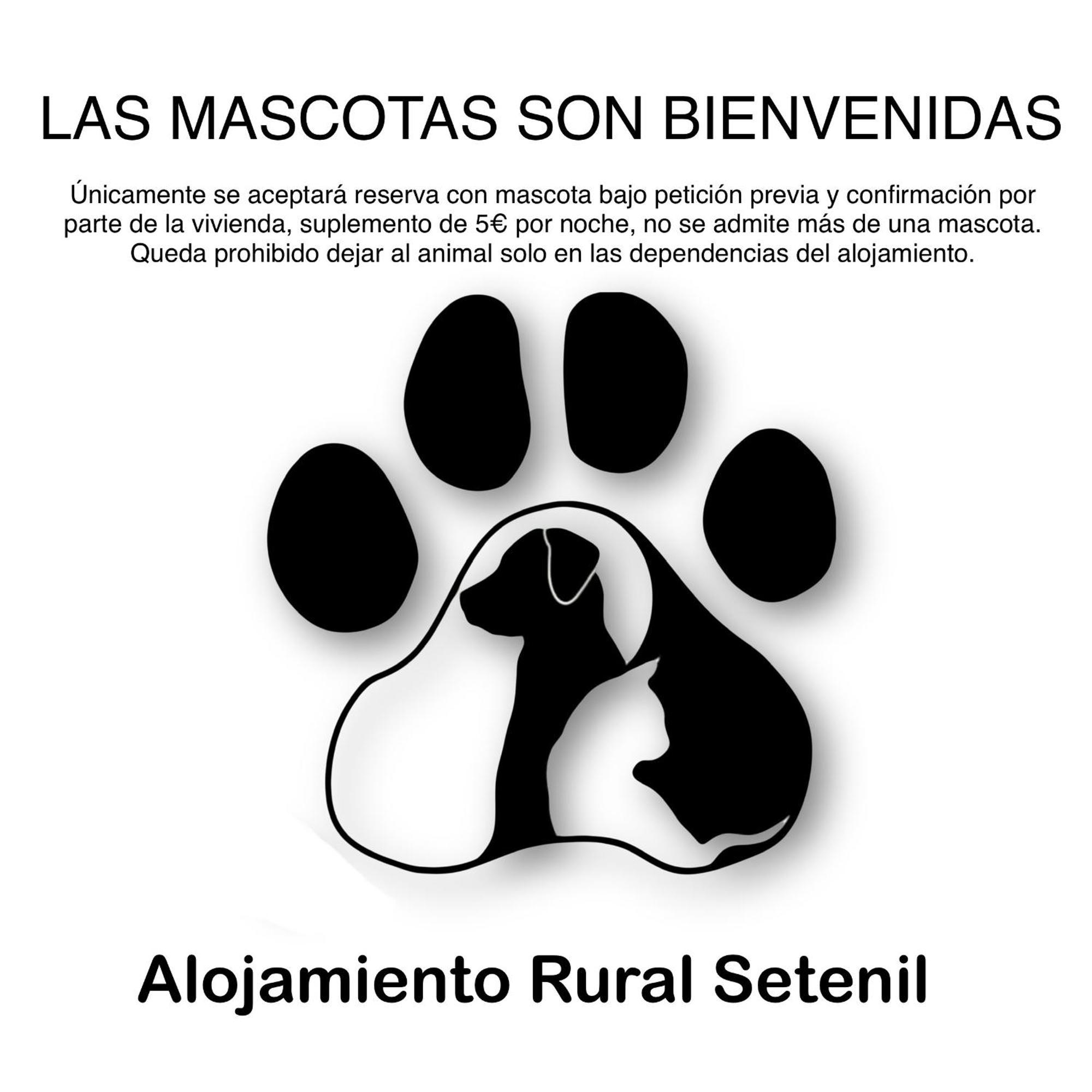 Alojamiento Rural Setenil Setenil De Las Bodegas Exteriör bild